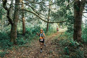 BIB: 
                            <button type="button" onclick="openModal(25666596)" class="btn btn-primary btn-sm float-right btn-popup" data-toggle="modal" data-target=".modal-high-quality">
                        <i class="fas fa-shopping-cart"></i> Add to Cart
                    </button>
                                            <button type="button" onclick="isThisMe(25666596, true)" class="btn btn-success btn-sm float-right btn-popup btn-isme hidden" data-toggle="tooltip" data-placement="bottom" title="นี่คือรูปของคุณใช่ไหม คลิกที่นี่เพื่อเอาเข้าอัลบั้ม">
                        <i class="fas fa-plus"></i> Add to album
                    </button>
                    <button type="button" onclick="isThisMe(25666596, false)" class="btn btn-warning btn-sm float-right btn-popup btn-isnotme hidden">
                        <i class="fas fa-ban"></i> Remove from album
                    </button>